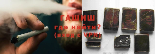 ГАЛЛЮЦИНОГЕННЫЕ ГРИБЫ Инта